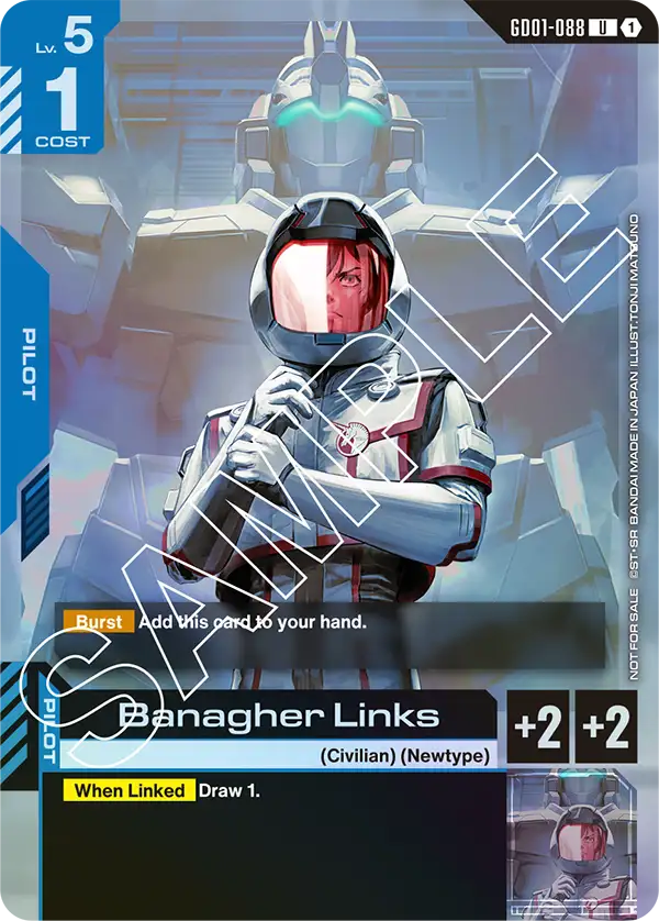 GD01-088_p3