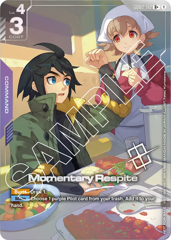 GD02-112_p3