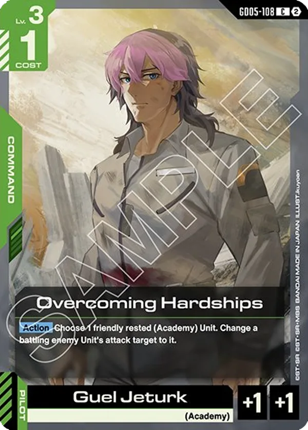Overcoming Hardships