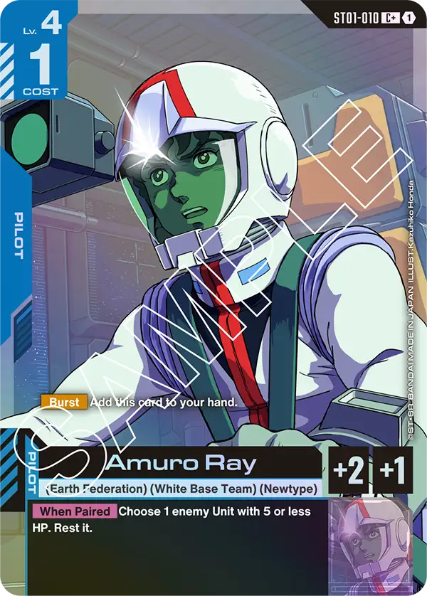 ST01-010_p1