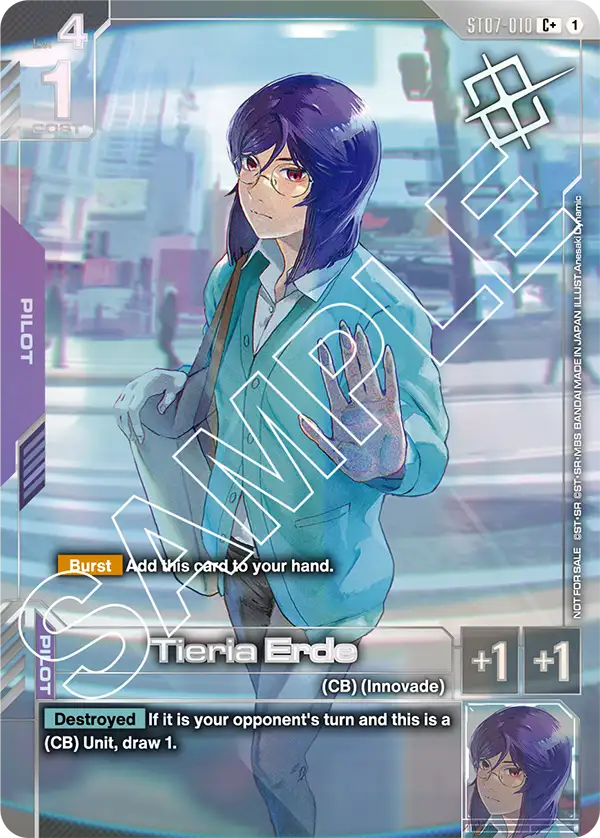 ST07-010_p3